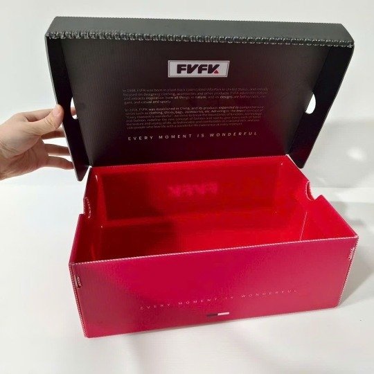 Danpla Plastic Shoe & Accessory Storage Box